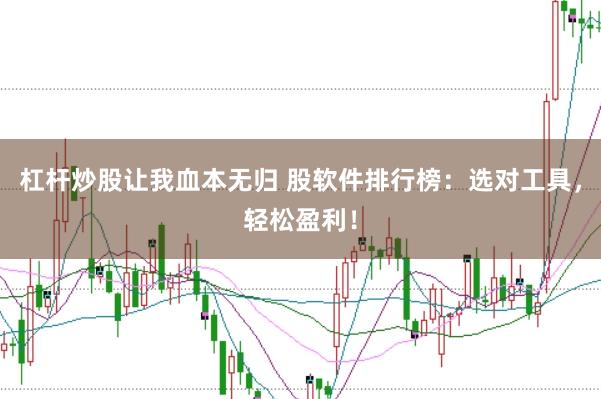 杠杆炒股让我血本无归 股软件排行榜：选对工具，轻松盈利！