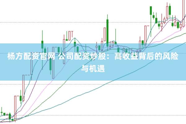 杨方配资官网 公司配资炒股：高收益背后的风险与机遇