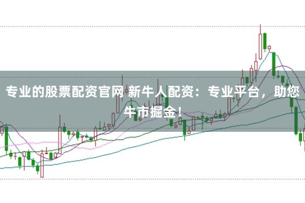 专业的股票配资官网 新牛人配资：专业平台，助您牛市掘金！