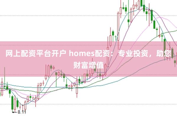 网上配资平台开户 homes配资：专业投资，助您财富增值