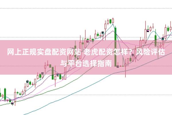 网上正规实盘配资网站 老虎配资怎样？风险评估与平台选择指南