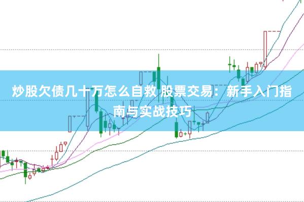 炒股欠债几十万怎么自救 股票交易：新手入门指南与实战技巧