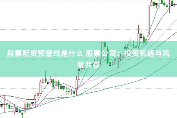 股票配资预警线是什么 股票公司：投资机遇与风险并存