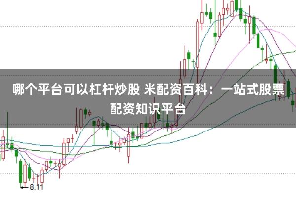 哪个平台可以杠杆炒股 米配资百科：一站式股票配资知识平台