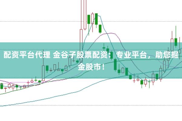 配资平台代理 金谷子股票配资：专业平台，助您掘金股市！