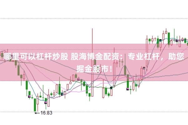 哪里可以杠杆炒股 股海博金配资：专业杠杆，助您掘金股市！