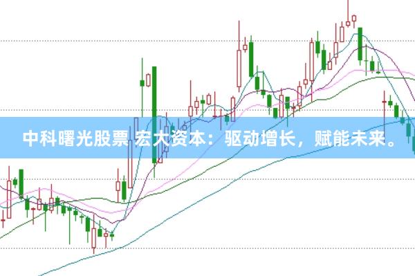 中科曙光股票 宏大资本：驱动增长，赋能未来。