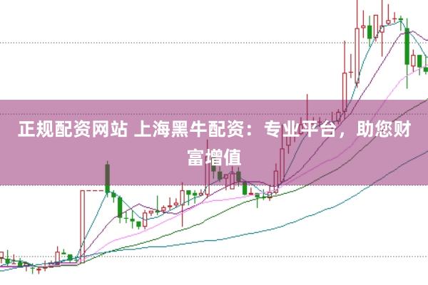 正规配资网站 上海黑牛配资：专业平台，助您财富增值