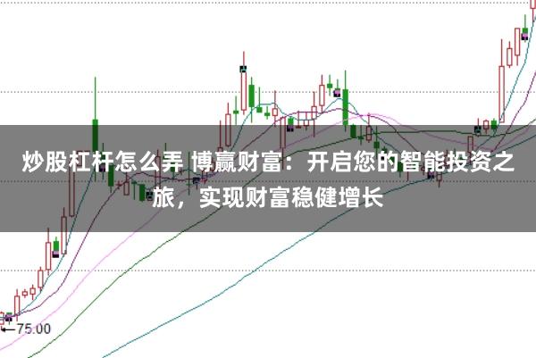 炒股杠杆怎么弄 博赢财富：开启您的智能投资之旅，实现财富稳健增长