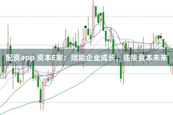 配资app 资本E家：赋能企业成长，连接资本未来