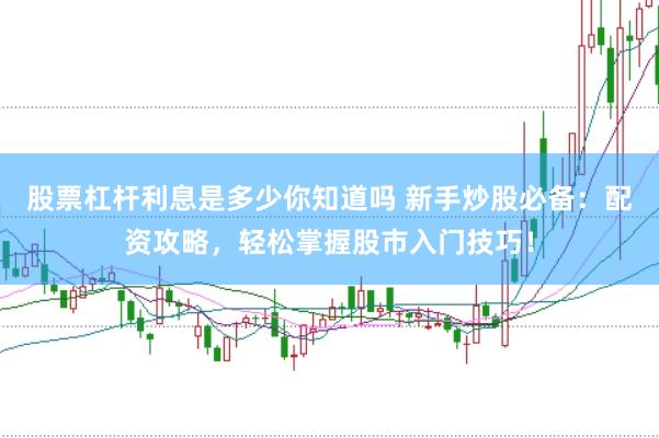 股票杠杆利息是多少你知道吗 新手炒股必备：配资攻略，轻松掌握股市入门技巧！