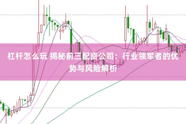 杠杆怎么玩 揭秘前三配资公司：行业领军者的优势与风险解析