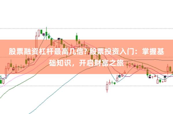 股票融资杠杆最高几倍? 股票投资入门：掌握基础知识，开启财富之旅