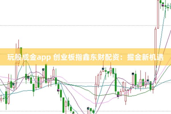 玩股成金app 创业板指鑫东财配资:掘金新机遇