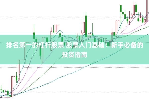 排名第一的杠杆股票 股票入门基础：新手必备的投资指南