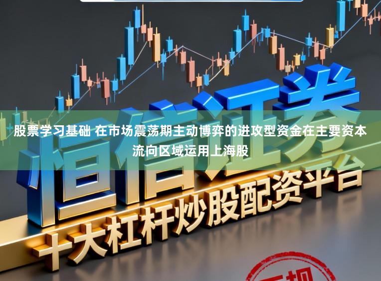 股票学习基础 在市场震荡期主动博弈的进攻型资金在主要资本流向区域运用上海股