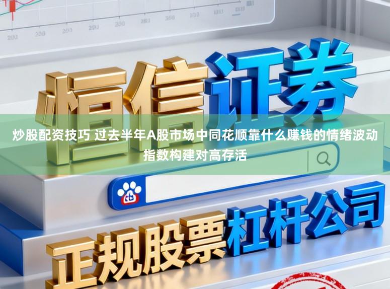 炒股配资技巧 过去半年A股市场中同花顺靠什么赚钱的情绪波动指数构建对高存活