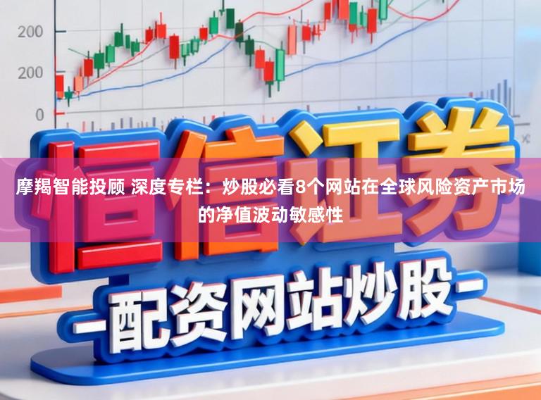 摩羯智能投顾 深度专栏：炒股必看8个网站在全球风险资产市场的净值波动敏感性