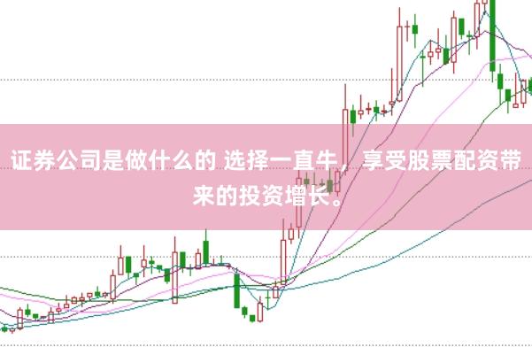 证券公司是做什么的 选择一直牛，享受股票配资带来的投资增长。